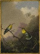 Martin Johnson Heade Two Humming Birds Spain oil painting artist